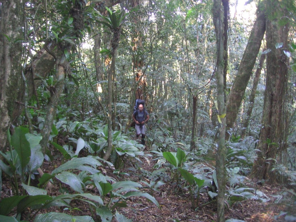 Na trilha retornando pra casa