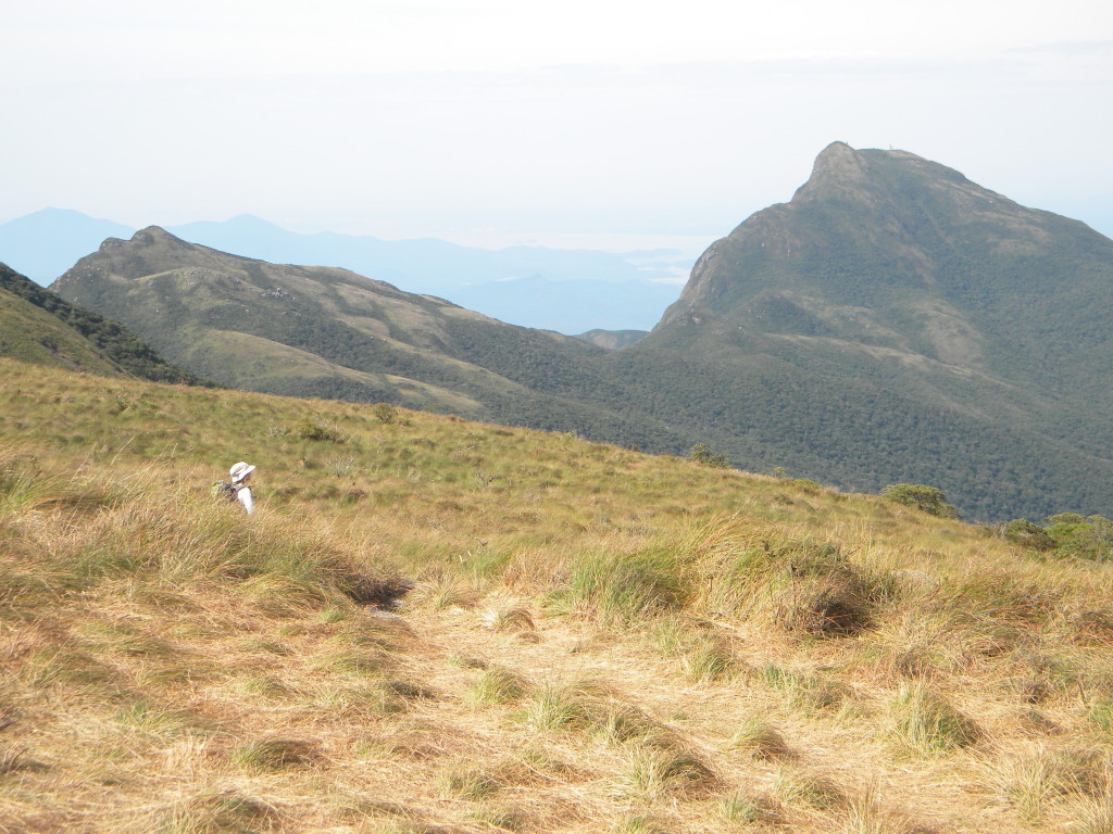 Nosso objetivo final, Ciririca.