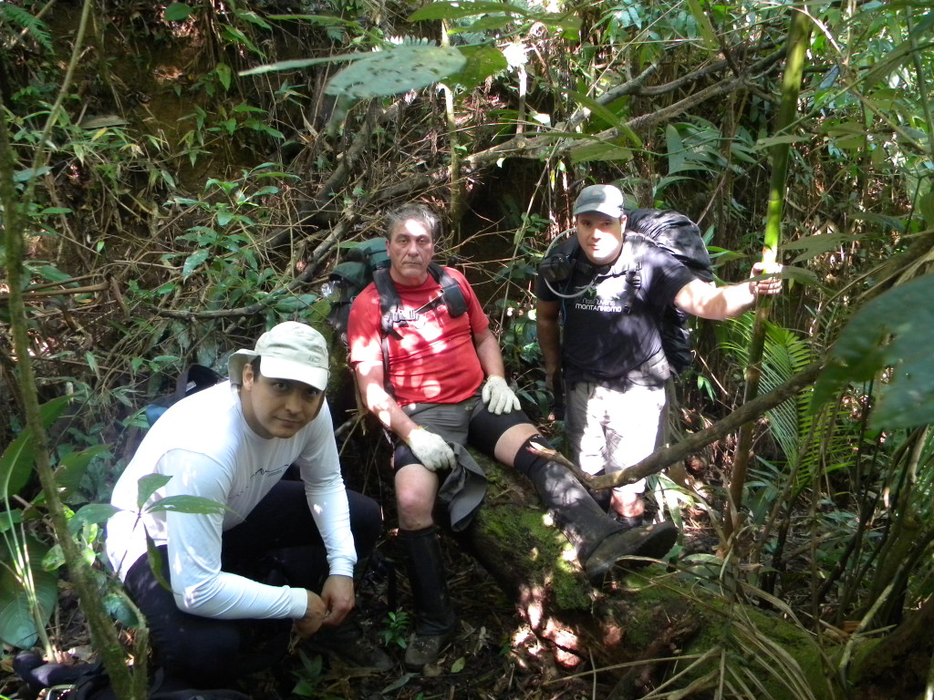 Alisson, Julio Fiori e Juliano