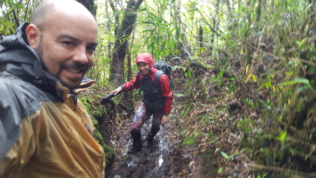 Molhado da cabeça aos pés.