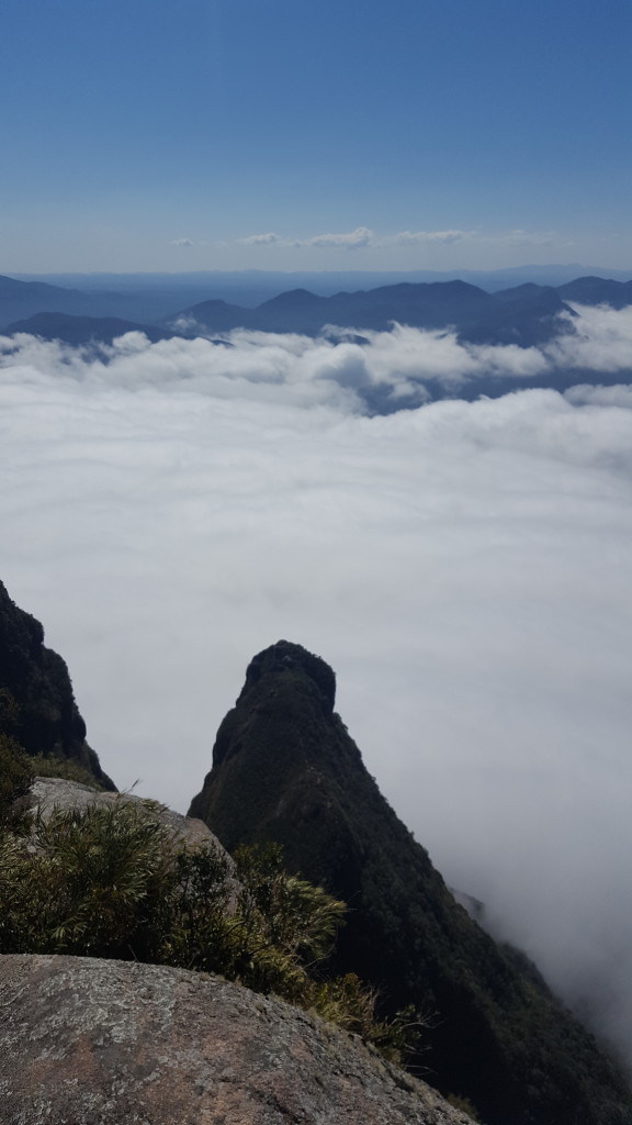Abrolhos visto do cume da Ponta do Tigre.