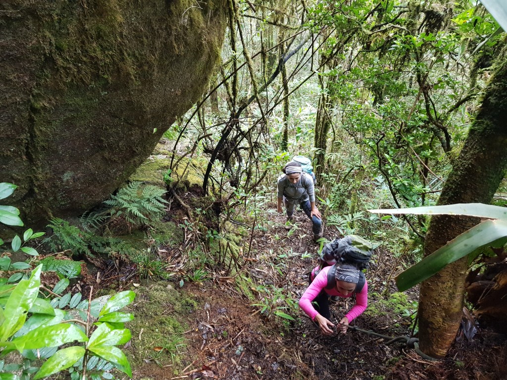 Trilha que da acesso ao setor de escalada.
