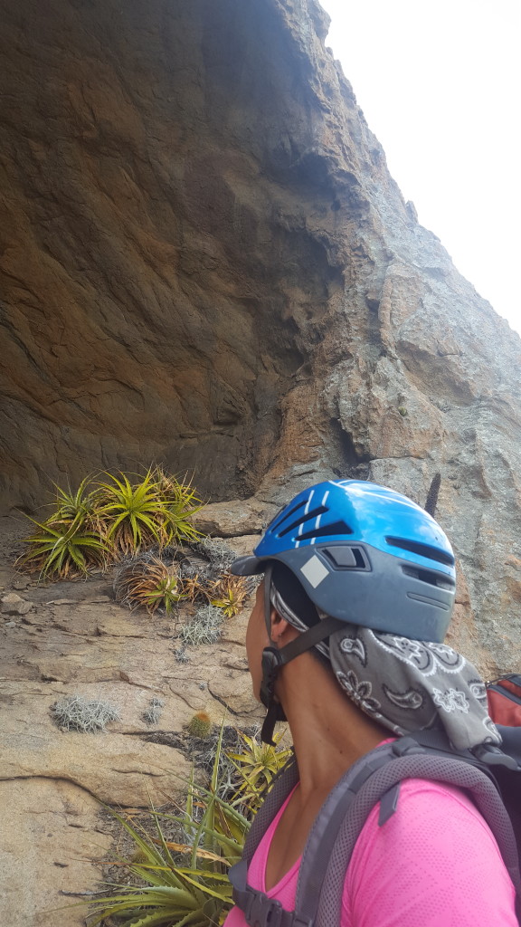 Michelle na Toquinha