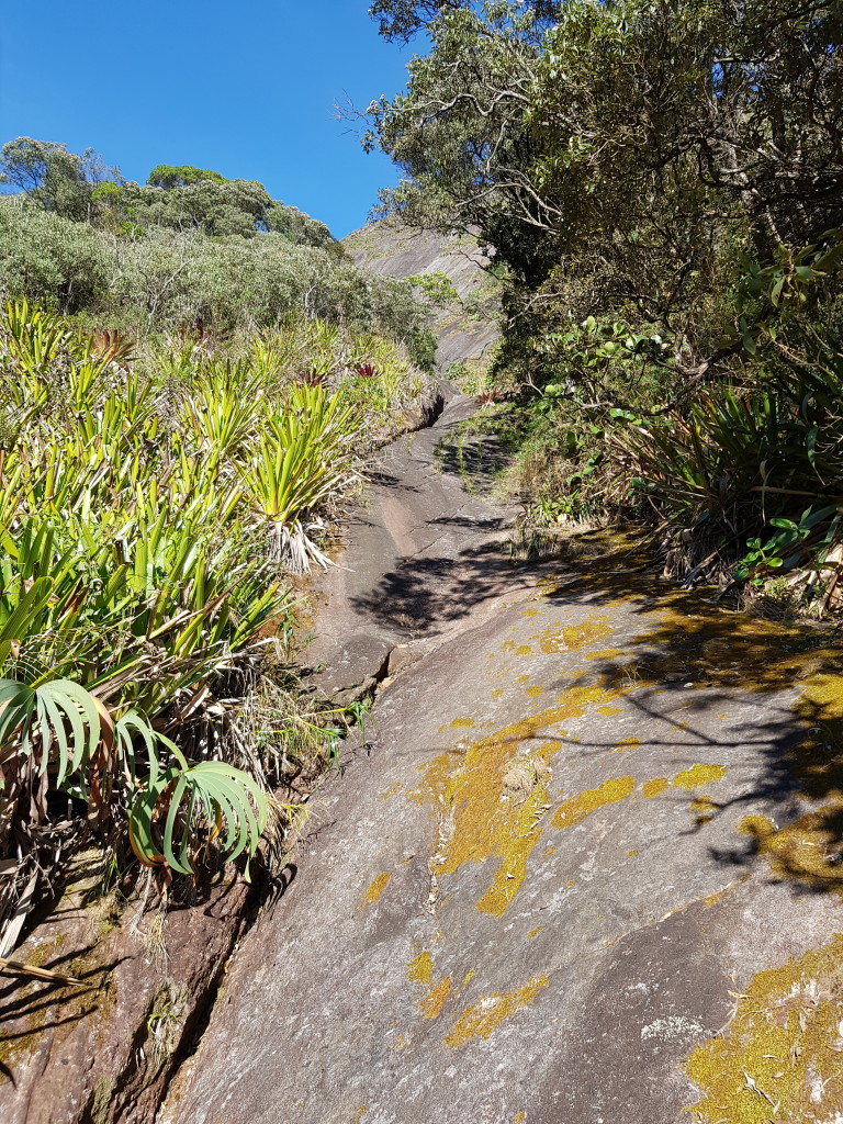 É só seguir por essa canaleta de mato na rocha que vai sair na base da via.