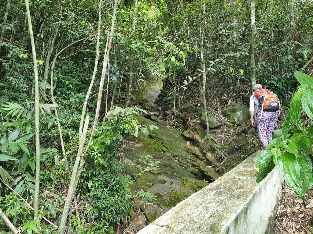 Entrada da trilha para o Escalavrado saindo da rodovia 