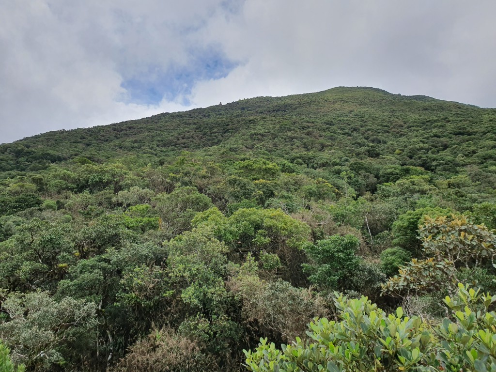 Da primeira janela ainda dava pra ver que tinha um bom trecho até o cume.
