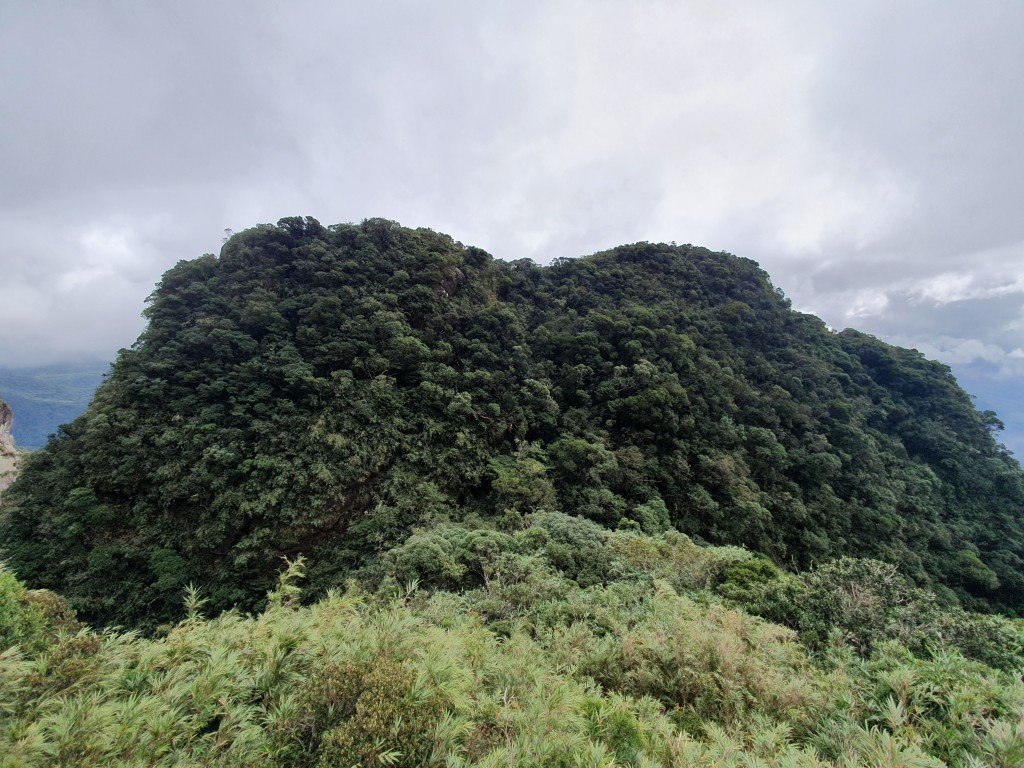 Torre dos Sinos visto da descida quando sai da Noroeste.