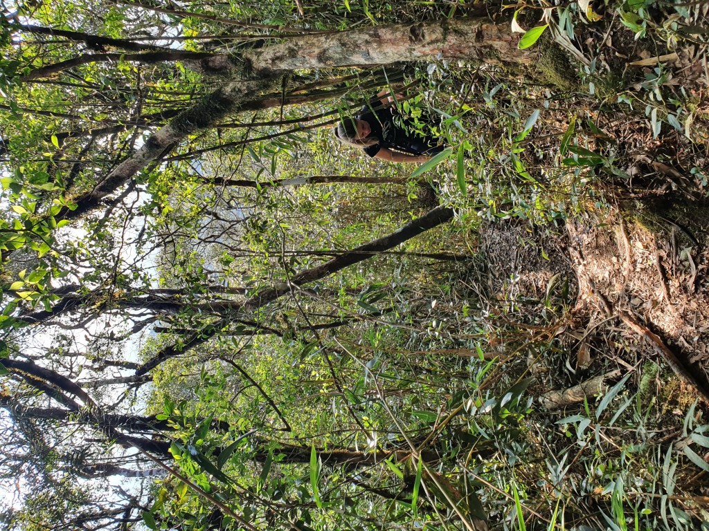 Subida do Mãe Catira