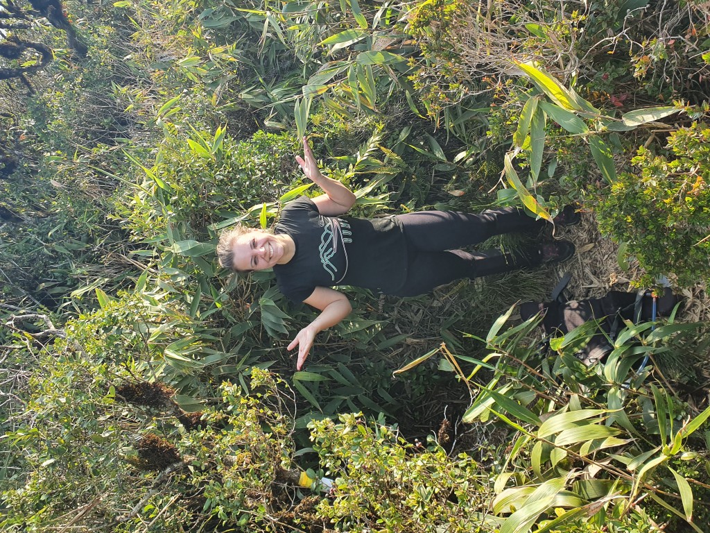 Quando a trilha sai da floresta logo a frente tem um bifurcação, quase chegando no cume do Mãe Catira, a direita segue rumo ao Polengar e a esquerda Mãe Catira e Morro 7.