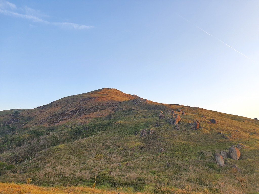 Capivari com os últimos raios do sol