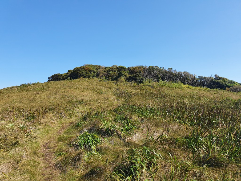 Final da campo e a entrada para a mata fechada