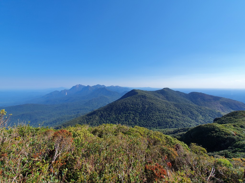 Serra do Mar do Paraná